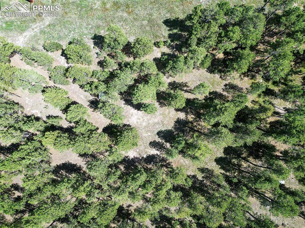 Colorado Springs, CO 80908,10775 Hardy RD