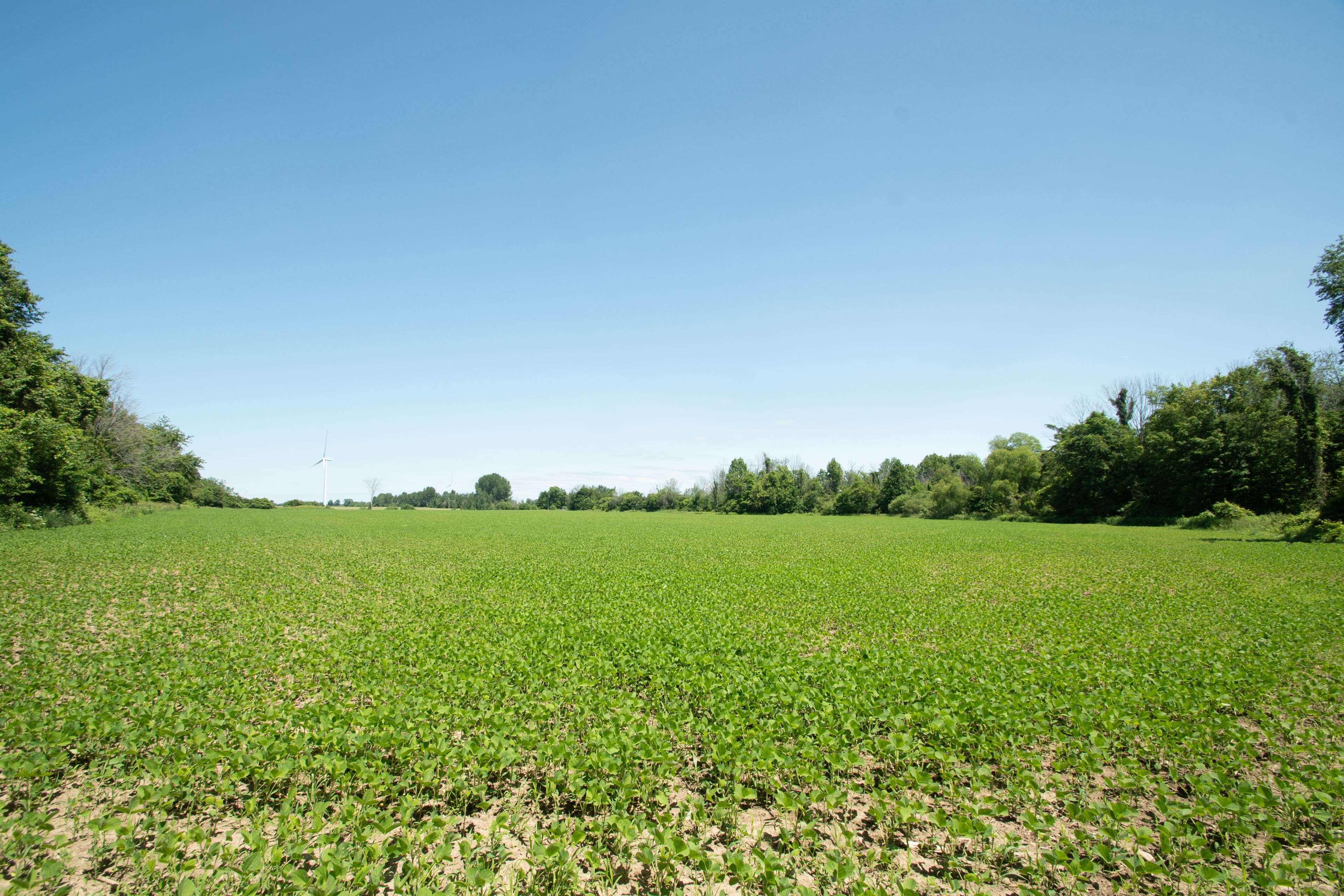 Kincardine, ON N2Z 2X4,PT LOT 28 CONCESSION 2 NDR Concession