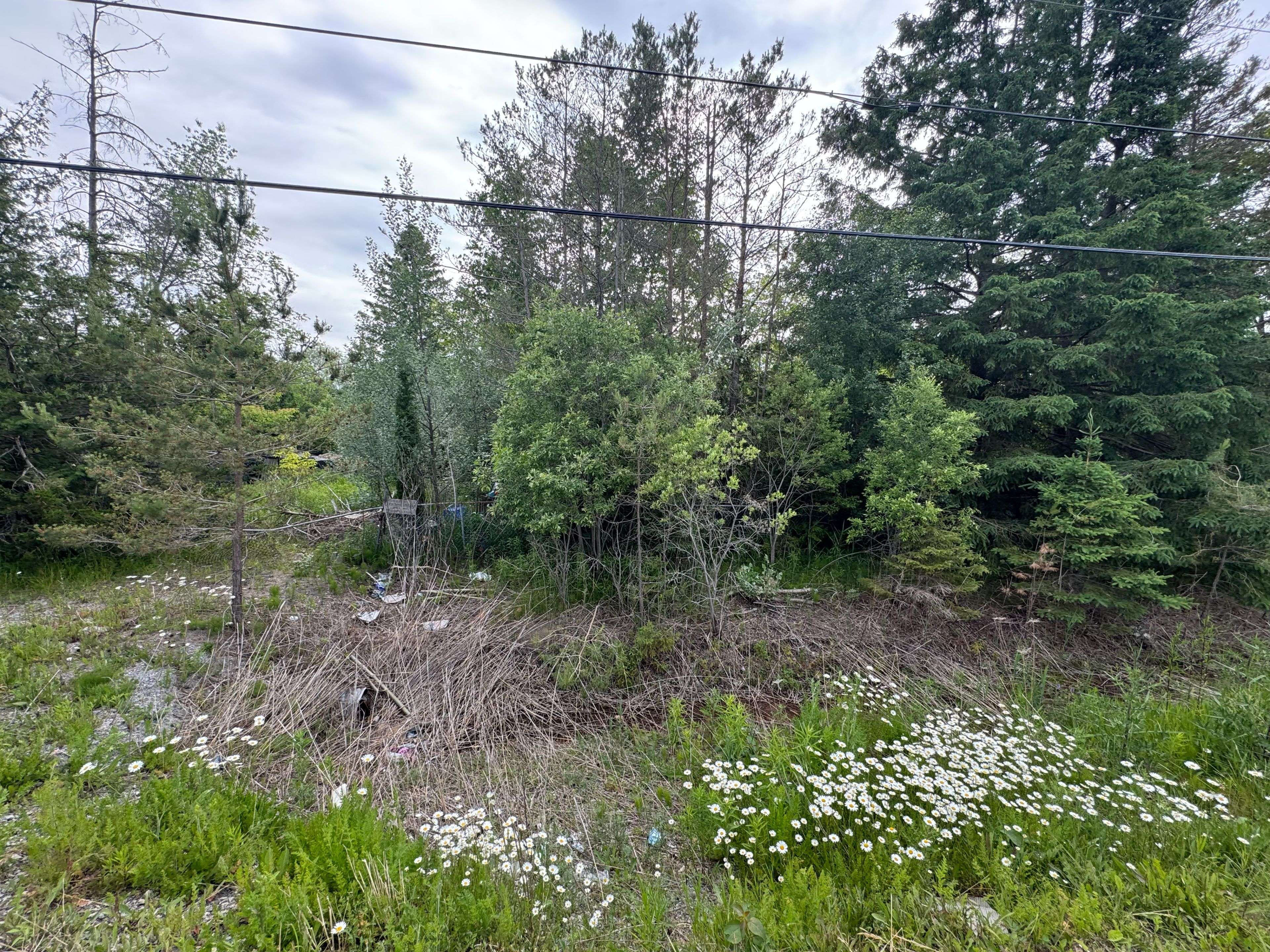 21416 48 HWY, East Gwillimbury, ON L0G 1M0