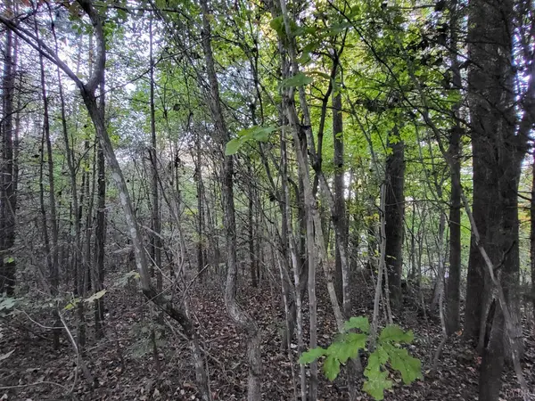 Halifax, VA 24558,0 Bethel Road