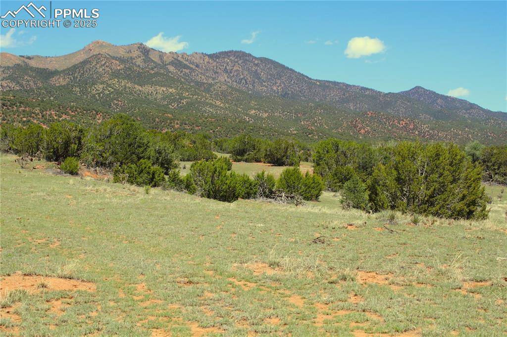 Canon City, CO 81212,Upper Beaver Creek RD