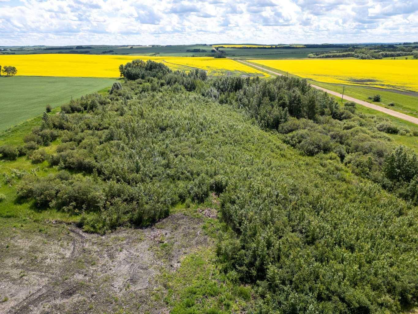 Rural Camrose County, AB T0B 1M0,Township Road 440
