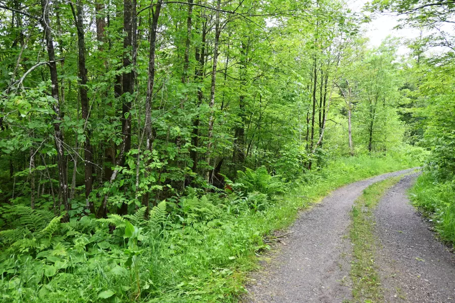 597 (Lot 3) Fords RD, Magnetawan, ON P2A 0B5