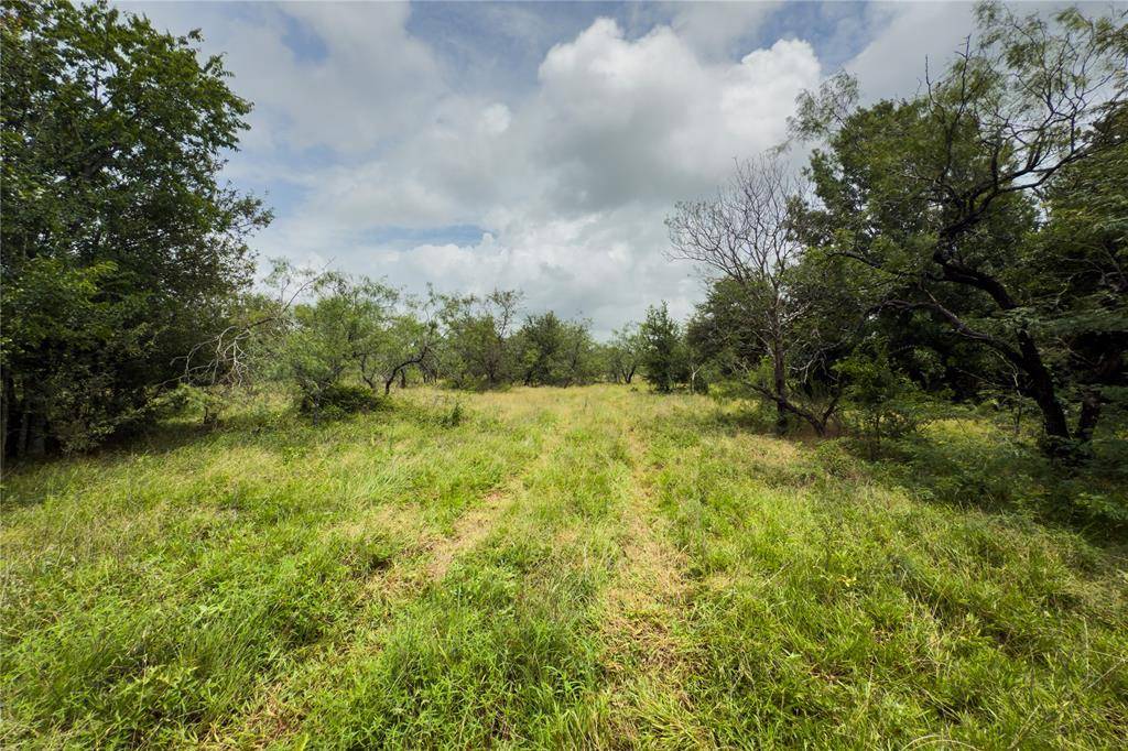 Marlin, TX 76661,Lot 6 County Road 173