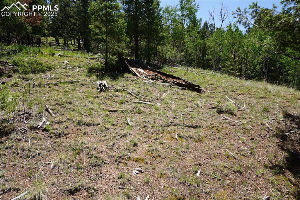 Cripple Creek, CO 80813,1000 Bennett DR