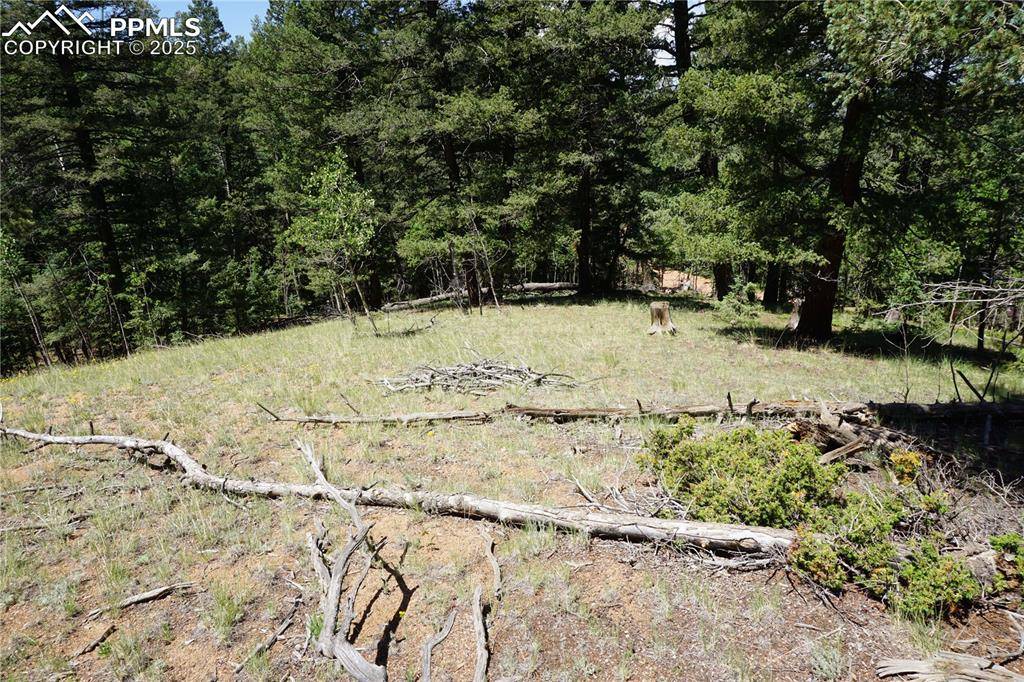 Cripple Creek, CO 80813,1000 Bennett DR