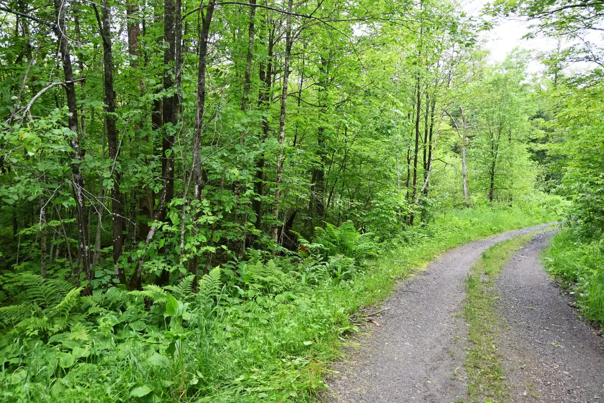 Magnetawan, ON P2A 0B5,597 (Lot 3) Fords RD