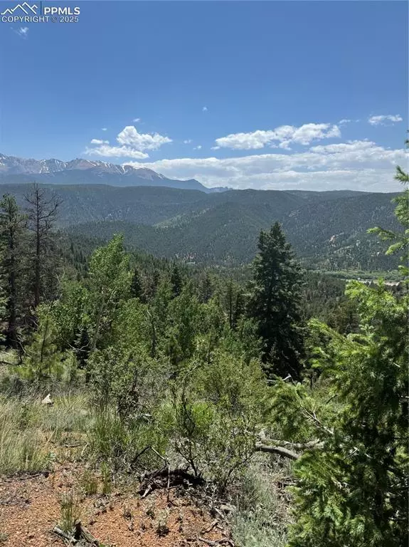 8743 High Mark PT, Woodland Park, CO 80863