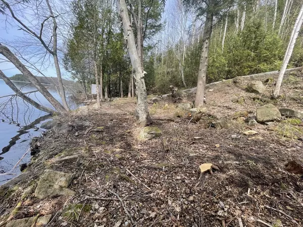 Minden Hills, ON K0M 2K0,0 Starlight RD