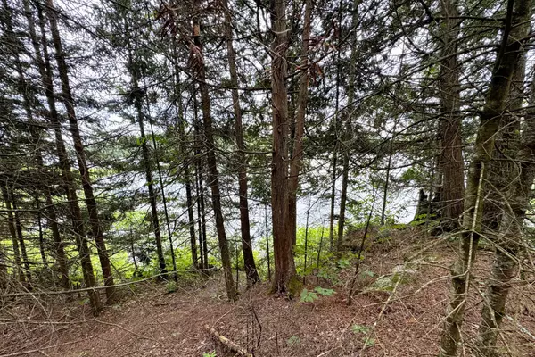 Magnetawan, ON P2A 0B5,597 (Lot 3) Fords RD