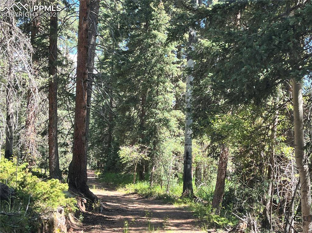 Divide, CO 80814,500 Pinon Lake DR