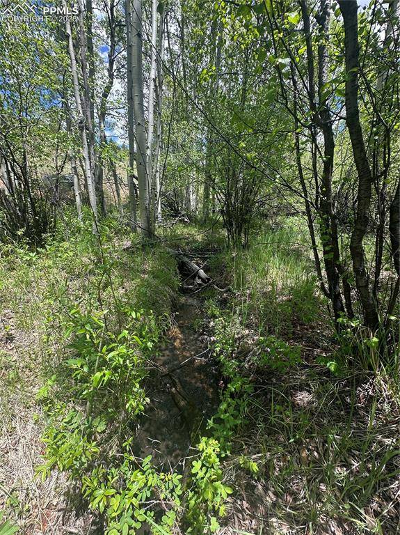 Cripple Creek, CO 80813,524 Buckhorn RD