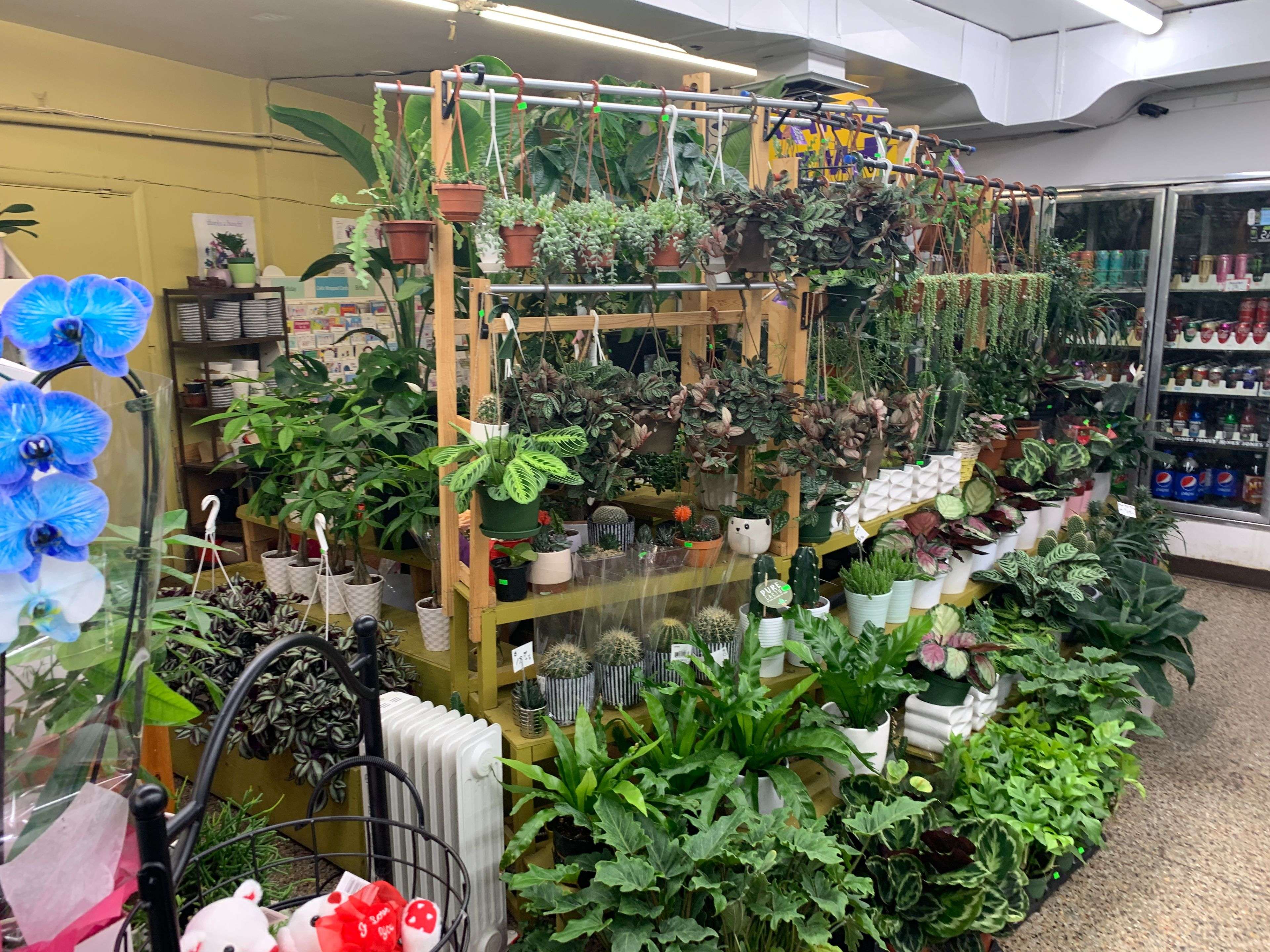 London East, ON N5Z 1V8,885 Hamilton RD