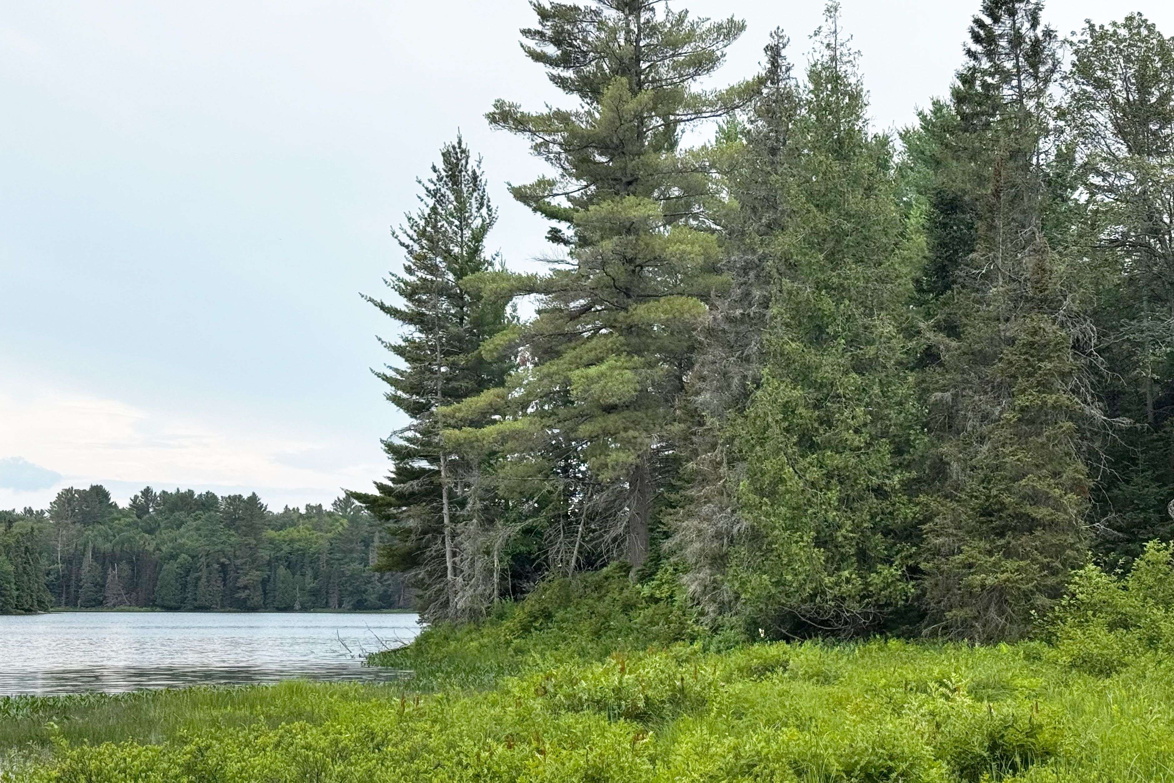 597 (Lot 4) Fords RD, Magnetawan, ON P2A 0B5