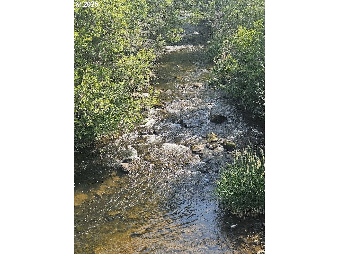 Olson RD, Centerville, WA 98613
