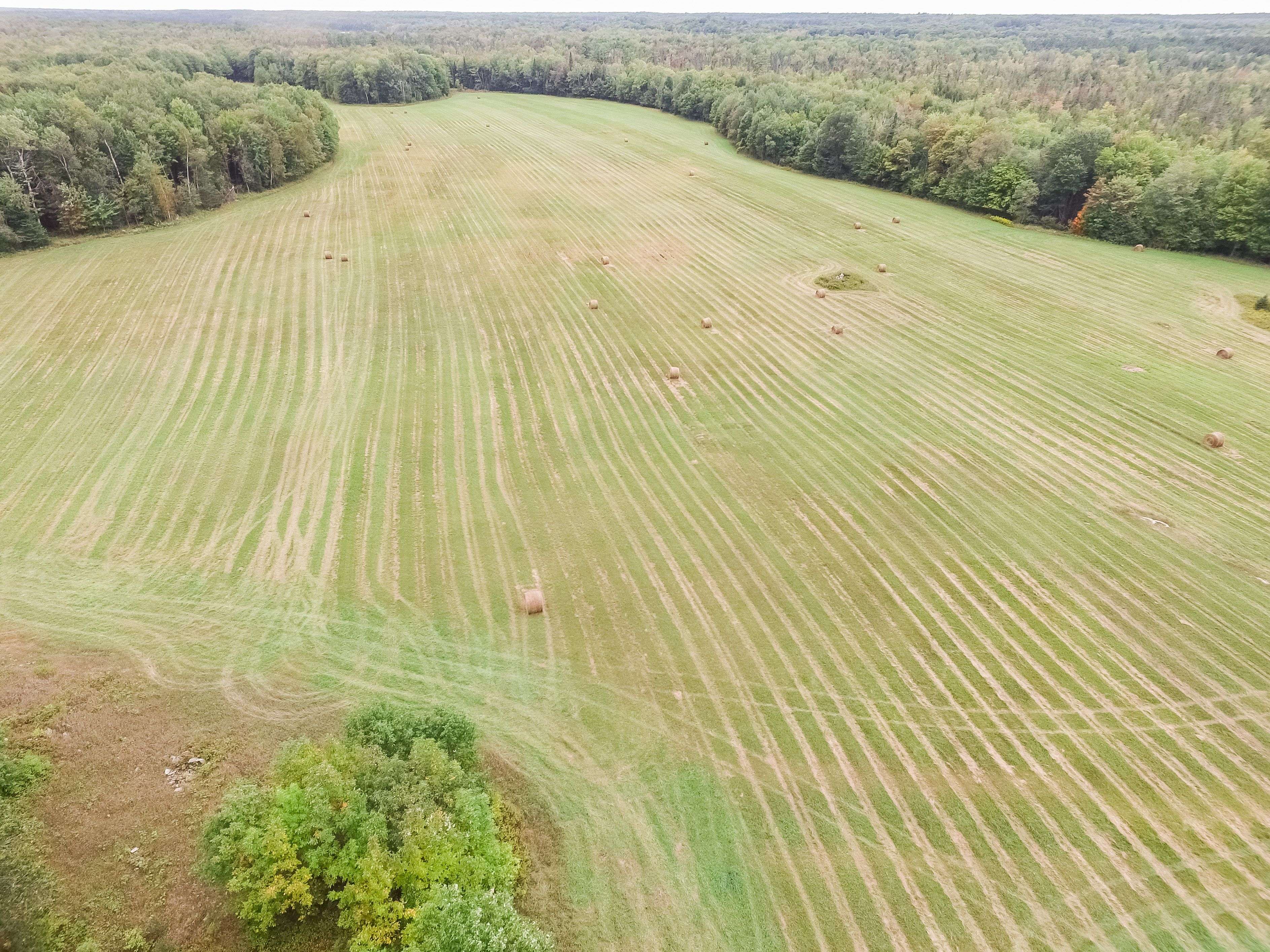 Kawartha Lakes, ON K0M 1K0,194 Laxton South Quarter Line