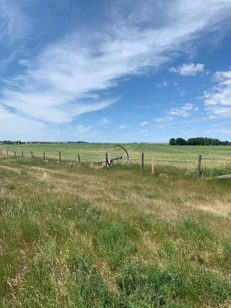 Meridian 4 Range 6 Township 12 Section 4 Quarter N, Rural Cypress County, AB T0J2P0