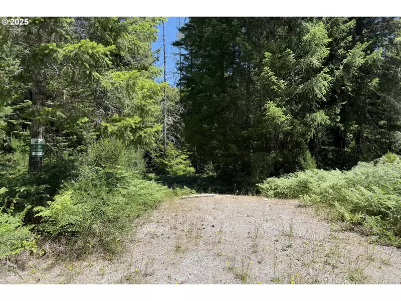 Lahar LN #9, Cougar, WA 98616