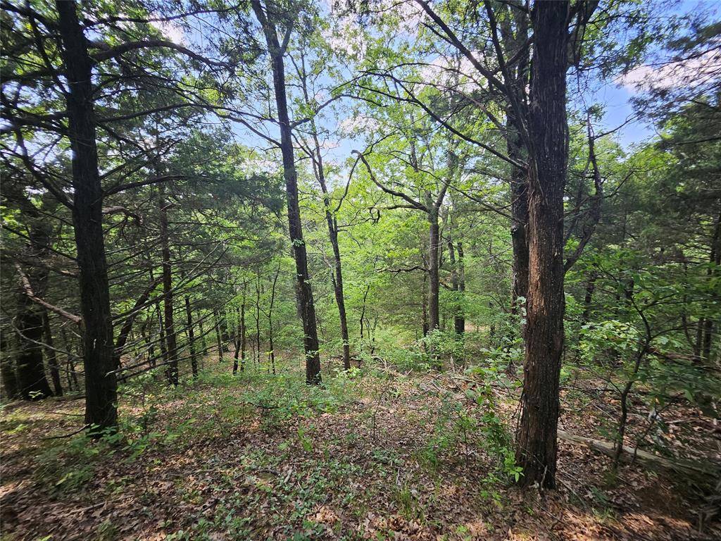 Gordonville, TX 76245,TBD lot 30 S Oakmont Court