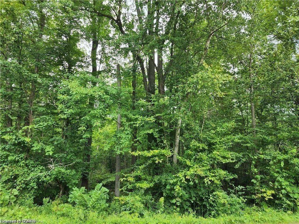 Norfolk, ON N3Y 4K1,PTLT 20 7th Concession