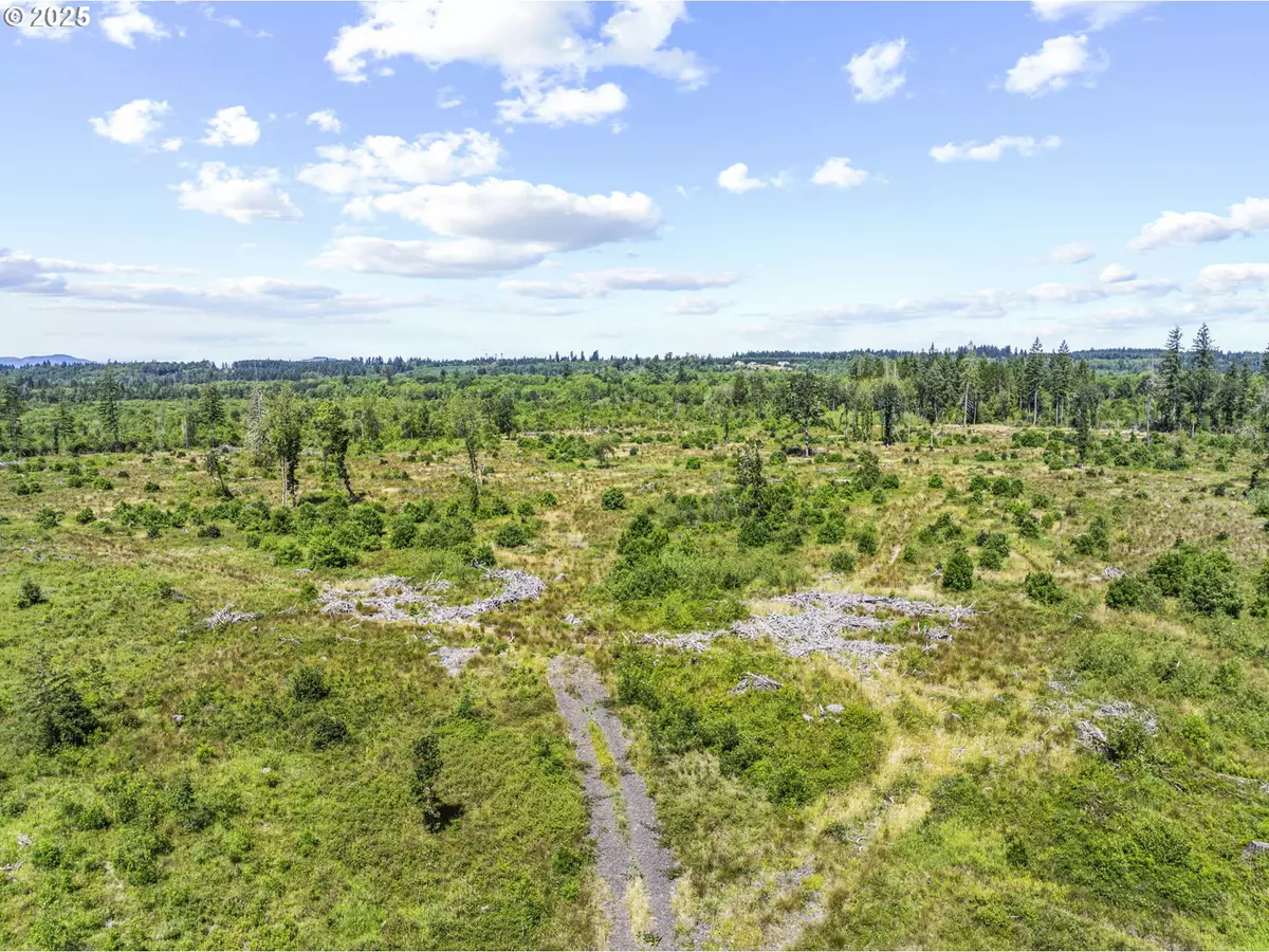 Toledo, WA 98591,0 SAREAULT RD