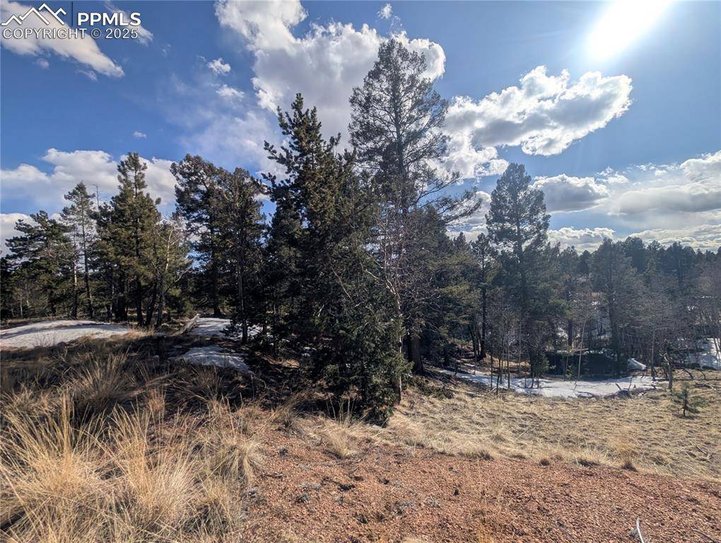Florissant, CO 80816,56 Rampart CIR