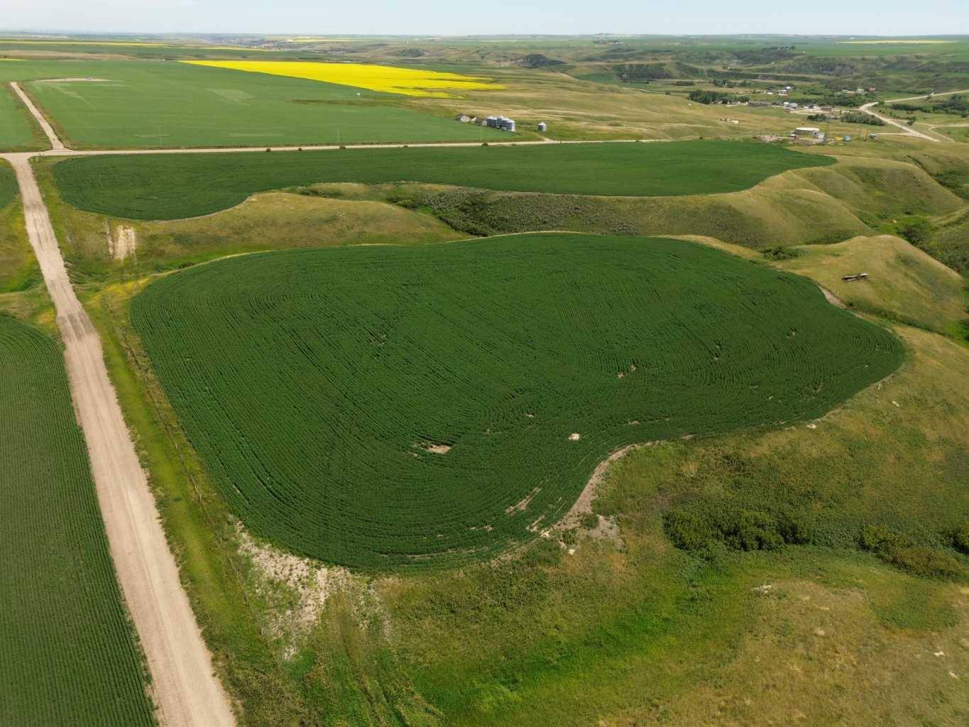 SE-22-29-23-W4M, Rural Kneehill County, AB T0M0L0