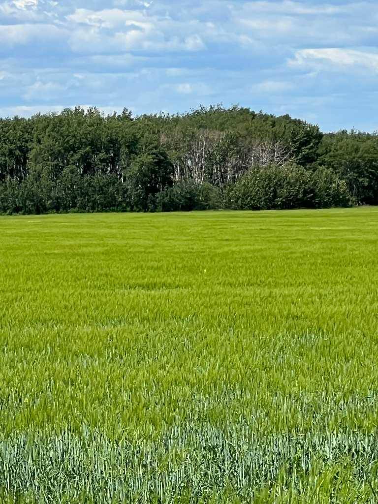 Grande Prairie, AB T8X 4K7,NE-17-72-6-W6 .