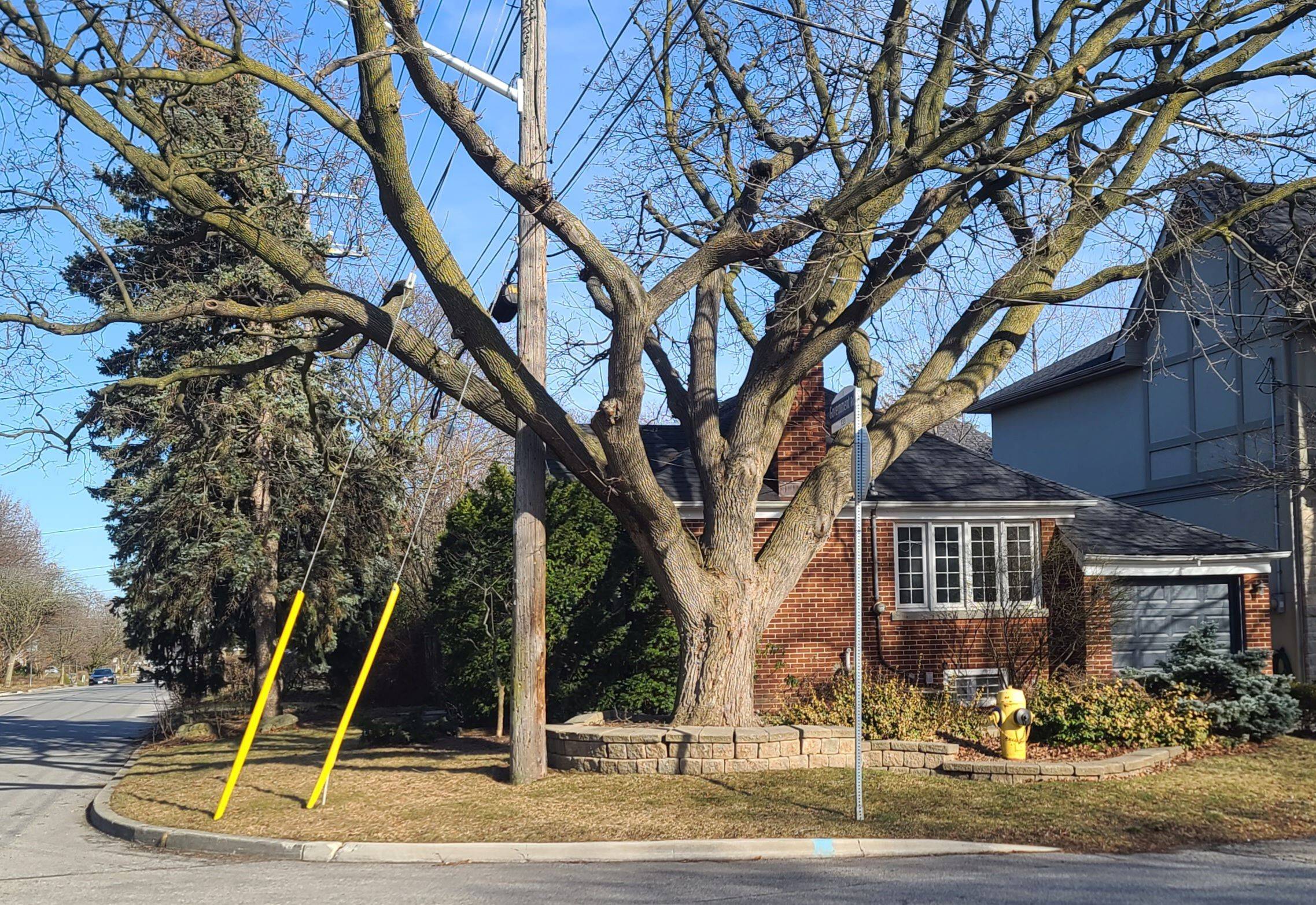 Toronto W08, ON M8X 2H9,25 Mcclinchy AVE