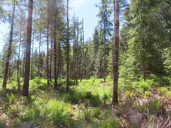 Hoquiam, WA 98550,1515 Kirkpatrick RD