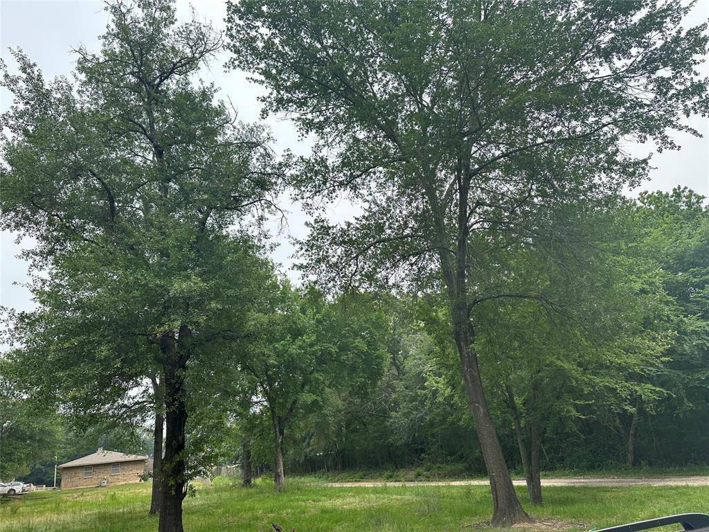 Grand Saline, TX 75140,0 Fielder Street