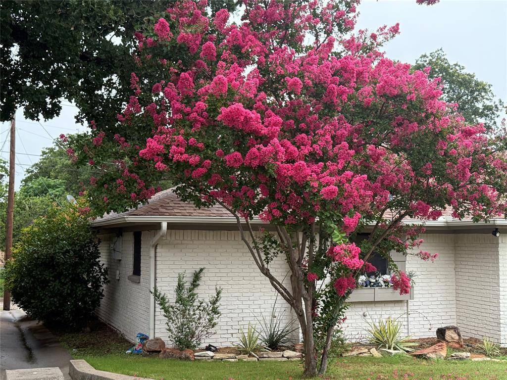 Mineral Wells, TX 76067,104 Cluster Drive