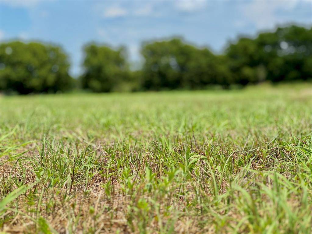 Nevada, TX 75173,Lot 12 CR-590