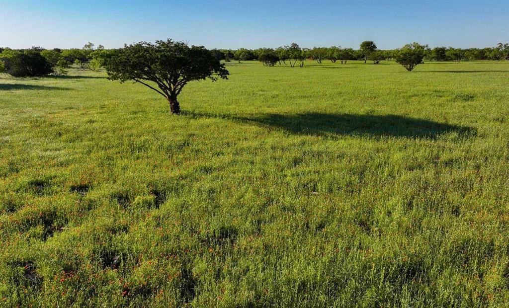 Graford, TX 76449,3626 Sikes Road
