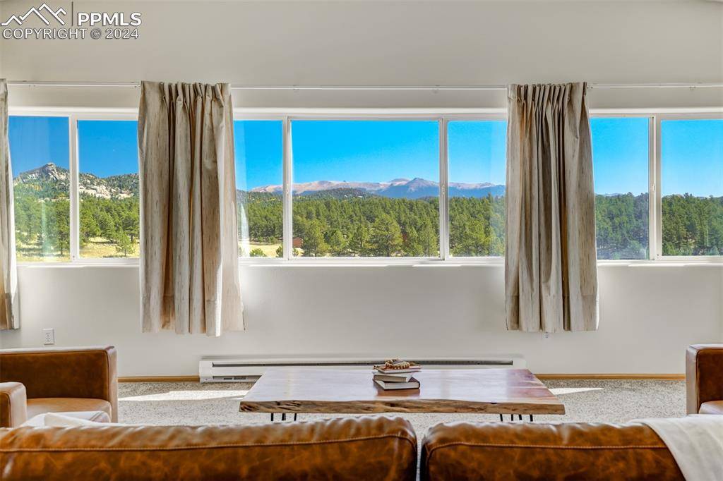 Florissant, CO 80816,115 White Tail LN