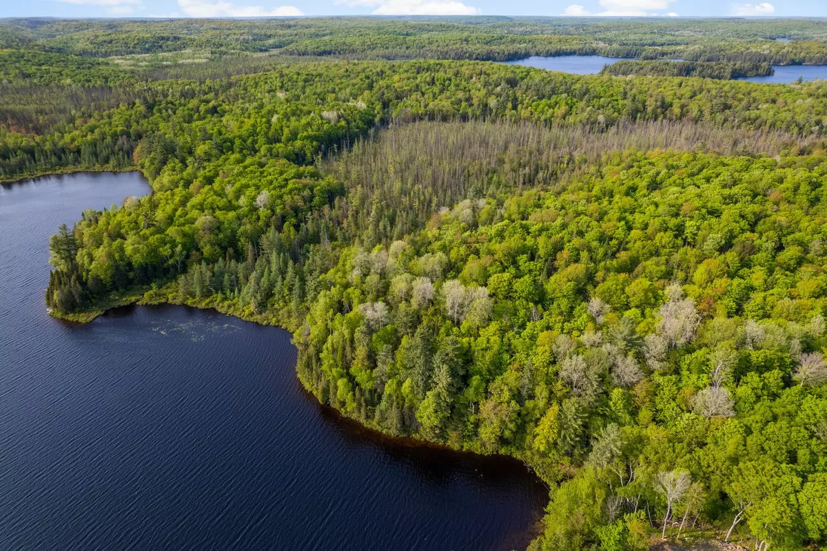 Highlands East, ON K0L 1M0,0 Chelmford DR