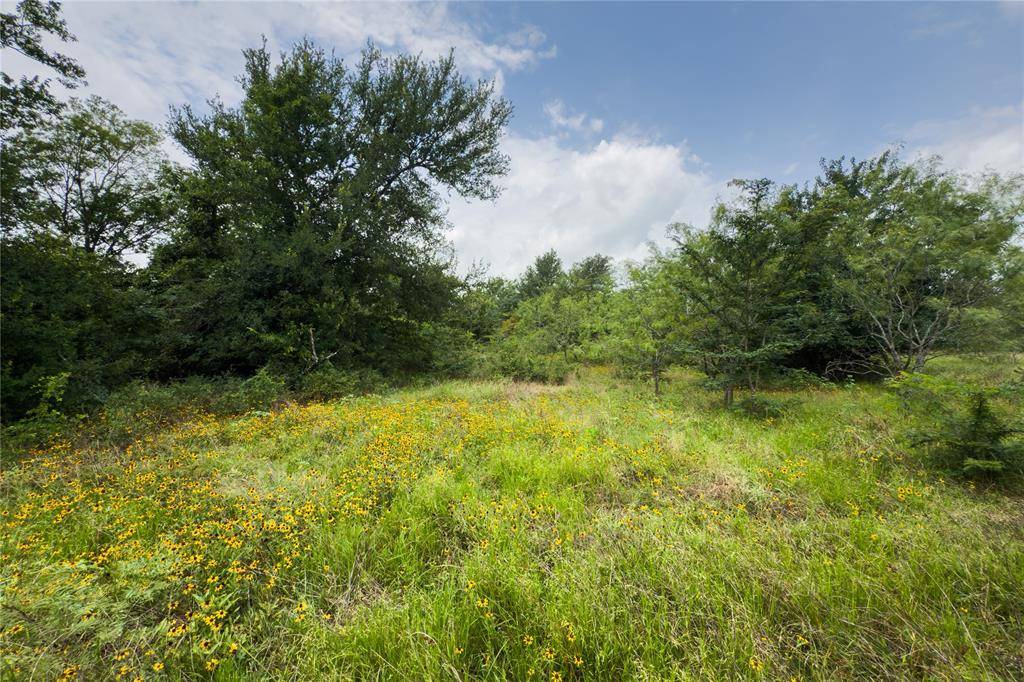 Marlin, TX 76661,Lot 8 County Road 173