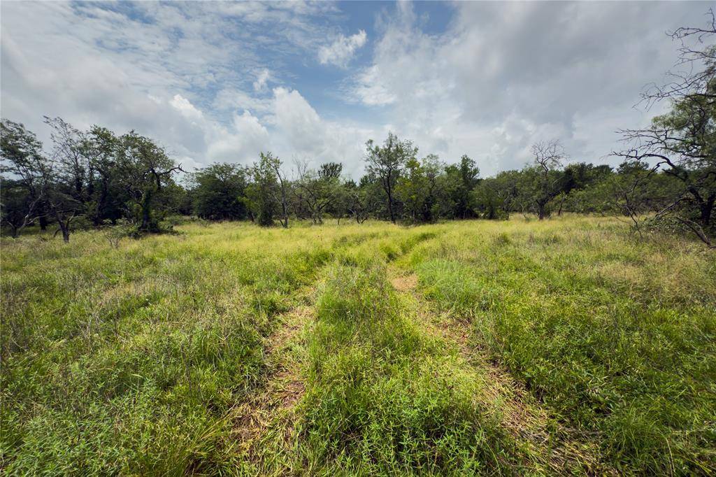 Marlin, TX 76661,Lot 8 County Road 173