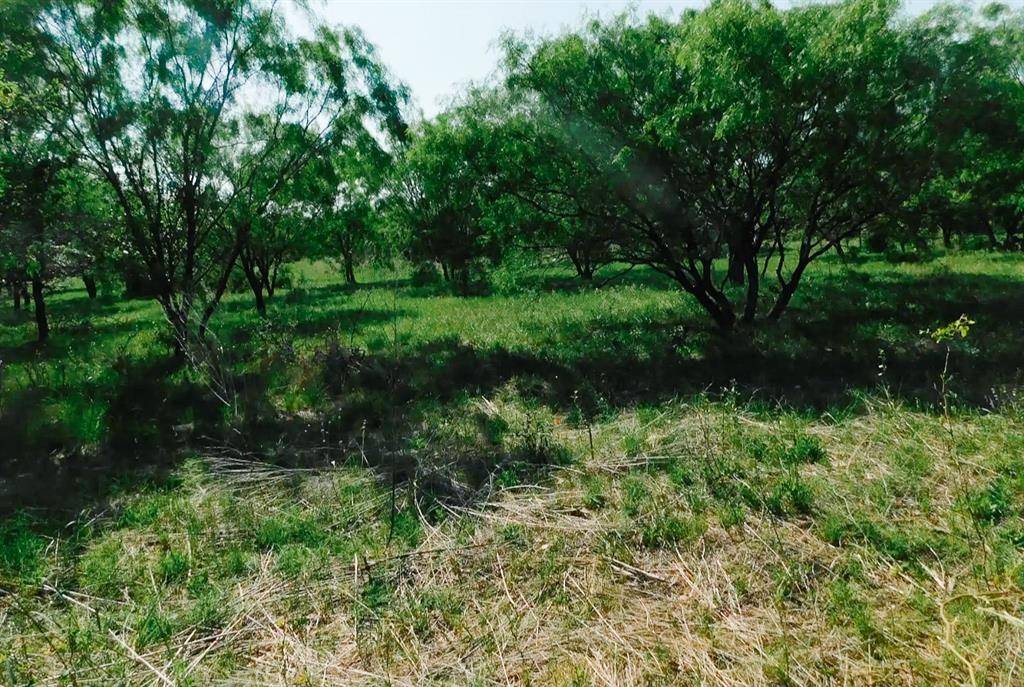 Brownwood, TX 76801,Lot 5 Morris Sheppard Drive