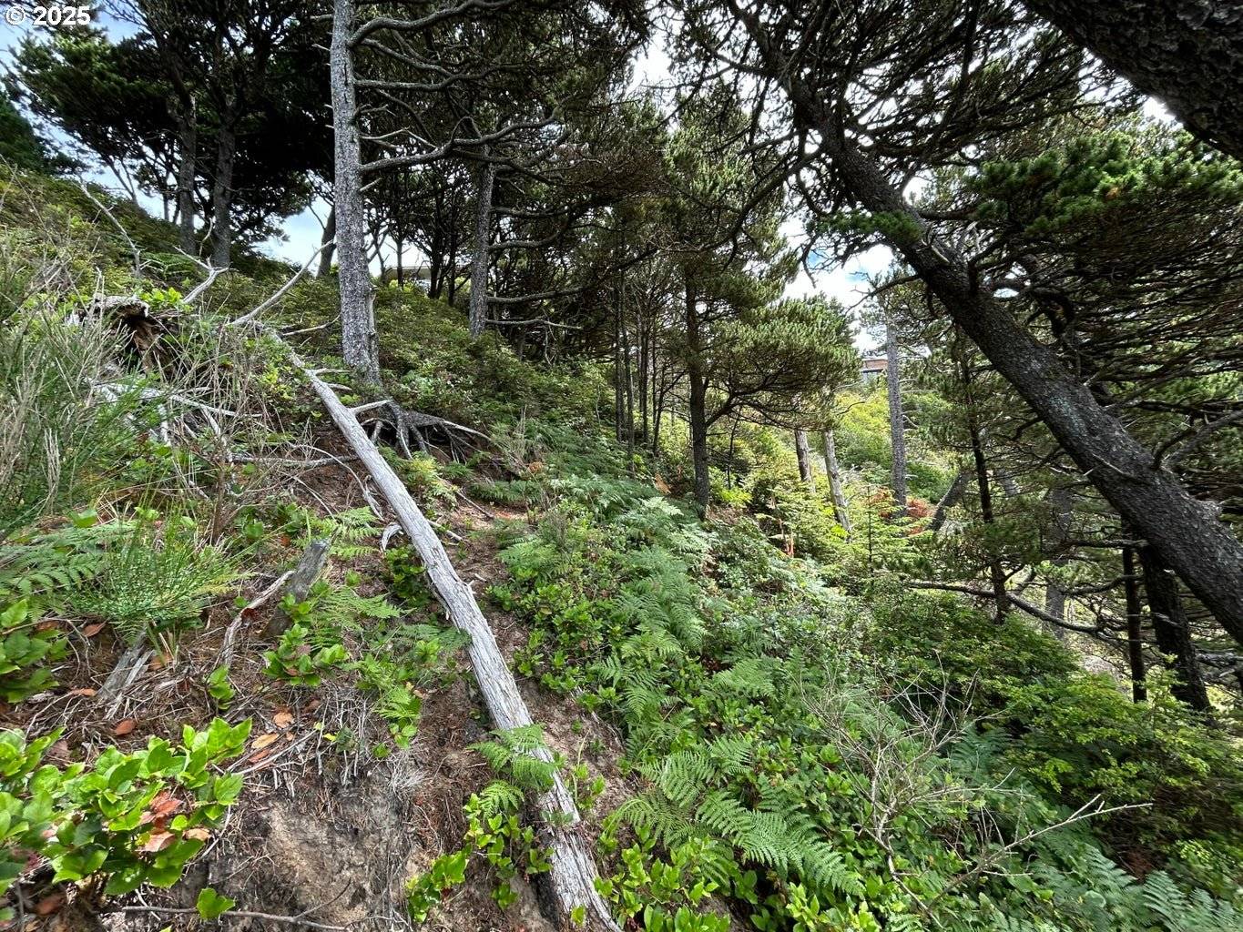 Oceanside, OR 97134,TL 3900 S Castle LN