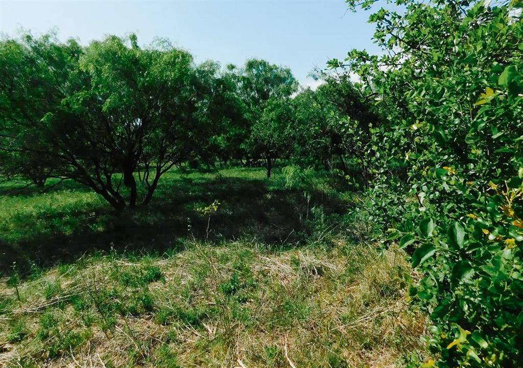 Brownwood, TX 76801,3105 Morris Sheppard Drive