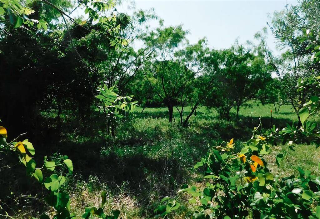 Brownwood, TX 76801,3105 Morris Sheppard Drive