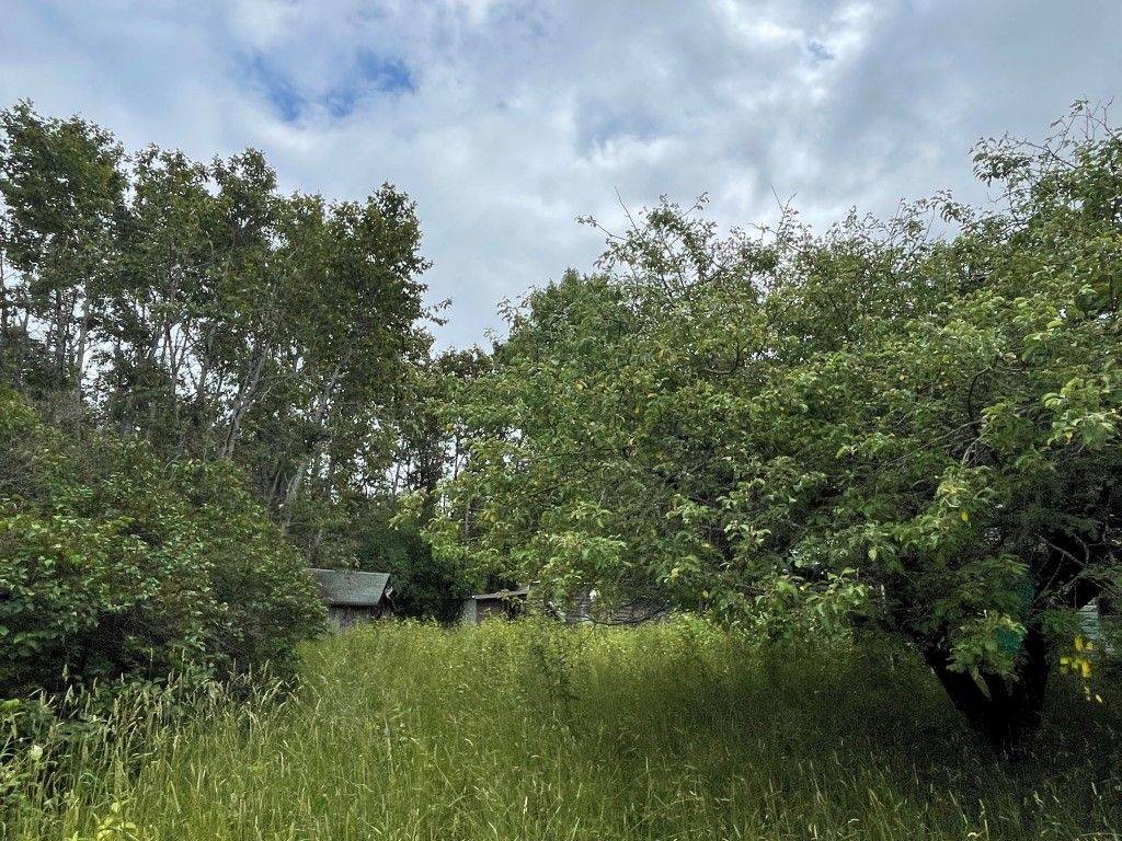 Central Manitoulin, ON P0P 1S0,1119 Blue RD