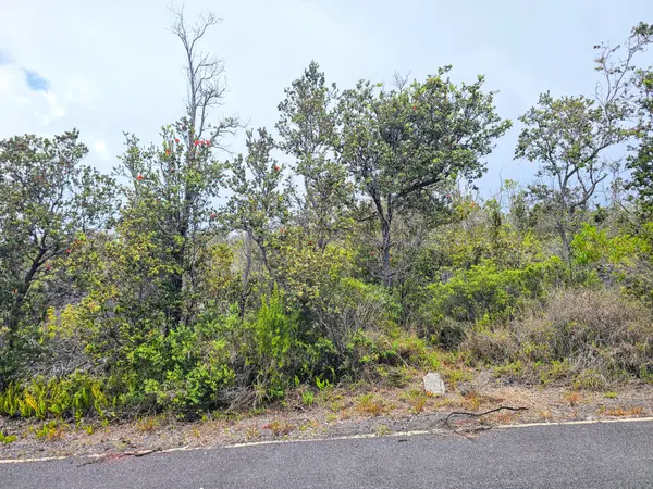 Ocean View, HI 96737