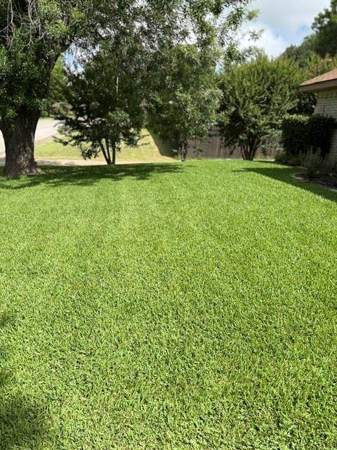 Desoto, TX 75115,1044 Shadywood Lane