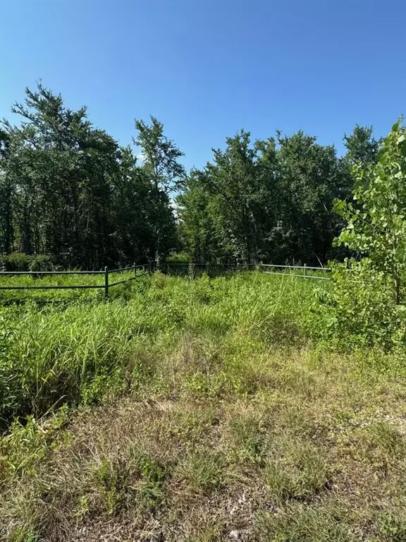 1437 Cedar Mills, Gordonville, TX 76245