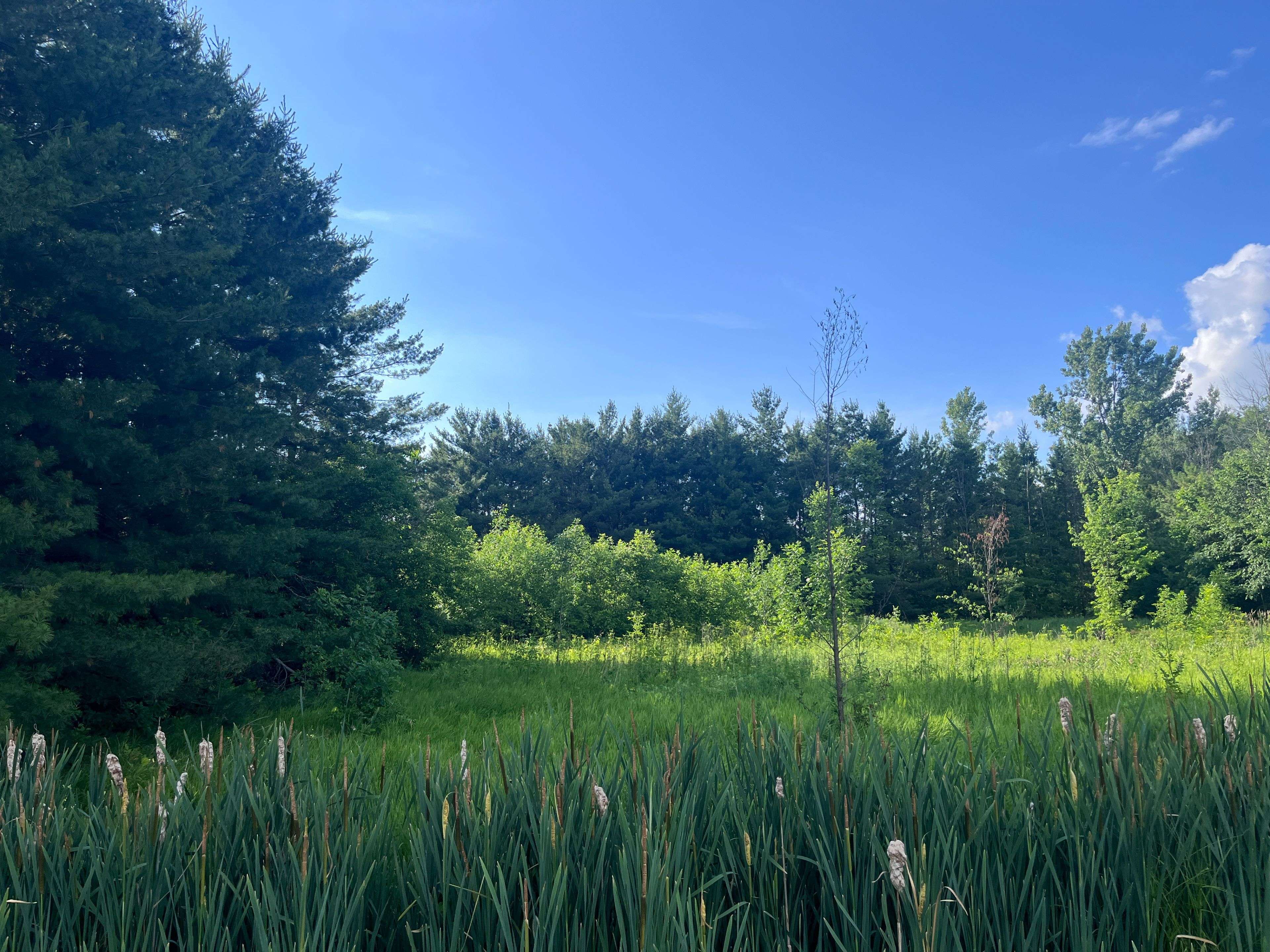 Mcnab/braeside, ON K7S 3G8,00 Russett DR