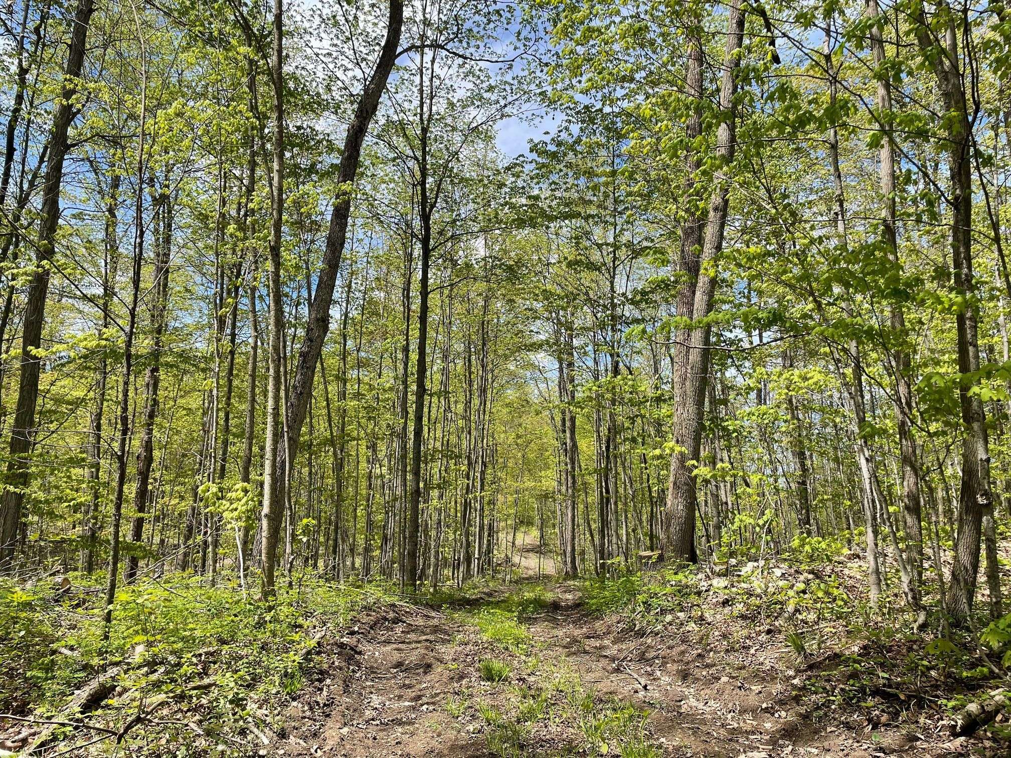 West Grey, ON N0C 1K0,N/A Concession 6 N/A