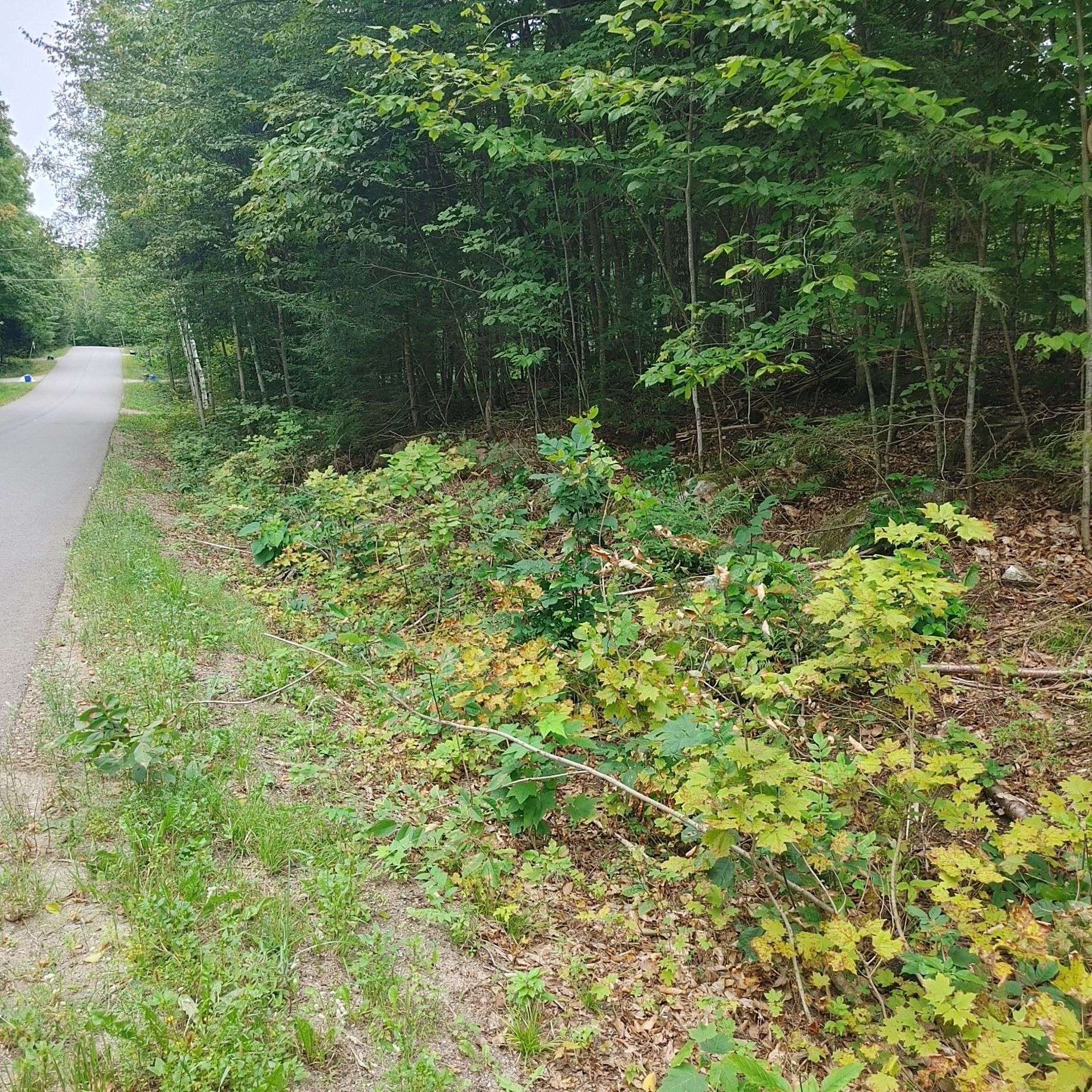 49 LORLEI DR, Mcnab/braeside, ON K0A 3L0