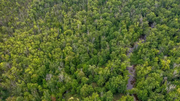 Georgian Bluffs, ON N0H 1G0,PT LT 1-2 Concession Rd 3 N/A